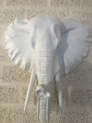 Beautiful white elephant head wall ornament, beautiful!!